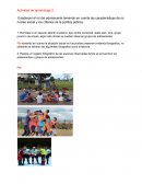 Actividad Rol del adolescente