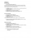 ARTICULO 14 PRO PYME GENERAL