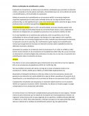 Efectos combinados de estratificación y viento