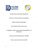 Mapa Conceptual de sustentabilidad y sus Dimensiones