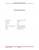 PRACTICA PROFESIONAL - HOTEL