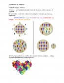 Tension entre lo comun y lo especial