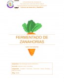 Fermentado de zanahoria