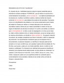 RESUMEN EJECUTIVO DE “HUARACHE “