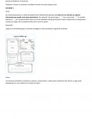 Secuencia Didáctica: Conocernos