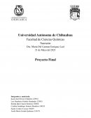 Proyecto final - Dieta crudivegana