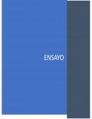 El ODIO MEDIÁTICO FUNDADO POR LAS TELECOMUNICACIONES