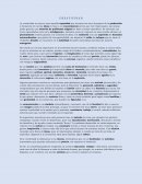 C R E A T I V I D A D