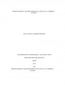 MICROENTORNOS Y MACROENTORNOS QUE AFECTAN A LA EMPRESA LUSAMA