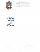 TSU Análisis y Diseño de Sistemas