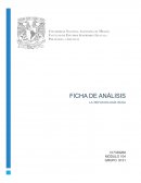 LA reflexología rusa