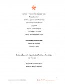 DISEÑO Y PRODUCTO DEL SERVICIO