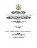 CASO DE LA PLATAFORMA CONTINENTAL DEL MAR DEL NORTE