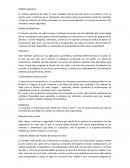 Modelo operativo de uber