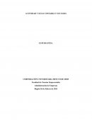 Actividad Ciclo contable y sus fases