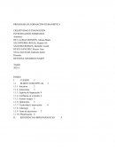 PROGRAMA DE FORMACIÓN HUMANÍSTICA CREATIVIDAD E INNOVACIÓN INVESTIGACIÓN FORMATIVA