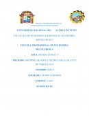 INFORME DE VISITA TECNICA DE LA PLANTA DE TIQUILLACA