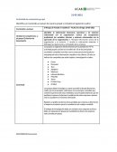 El Riesgo de Fraude en Auditoría