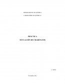 PRÁCTICA TITULACIÓN DE CRABONATOS