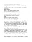 RESEÑA TORMENTA DE VERANO