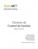 Técnicas de Control de Gestión