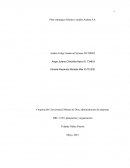 Plan estratégico hilados y tejidos Andina S.A