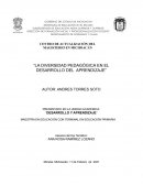 La diversidad pedagógica en el desarrollo del aprendizaje