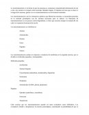 Infografia consumo de drogas en Ecuador