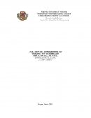 Proyecto sobre la evolución del hombre