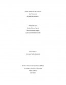 Plan de exhibicion del producto