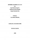 INFORME ACCIONES 8-10-13-15