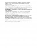 Recomendaciones grupo