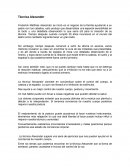 Técnica Alexander