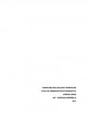 FICHA DE OBSERVACIÓN ETNOGRAFICA