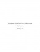 Principios de la electricidad