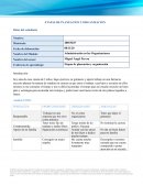 ETAPAS DE PLANEACION Y ORGANIZACION