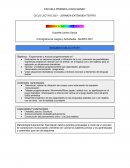 Planificacion Secuencia primaria Teatro