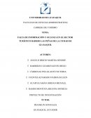 FALTA DE INFORMACIÓN Y GUIANZA EN EL SECTOR TURÍSTICO BARRIO LAS PEÑAS DE LA CIUDAD DE GUAYAQUIL