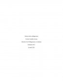 Derecho Civil Obligaciones y Contratos