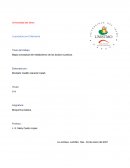 Metabolismo de ácidos nucleicos