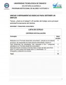 PROGRAMA INSTITUCIONAL DE VALORES Y ACTITUDES V