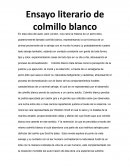 Ensayo literario de colmillo blanco