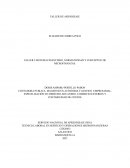 SISTEMA FINANCIERO, NORMATIVIDAD Y CONCEPTOS DE MICROFINANZAS