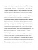 Clases Sociales Venezuela Colonial