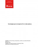 Tecnologias de transporte IP en redes opticas