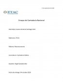 Ensayo De Contabilidad Nacional