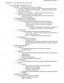 LA CIUDAD COMO COMUNIDAD POLÍTICA