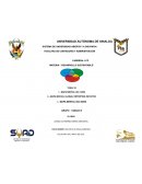 Mapa mental desarrollo sustentable