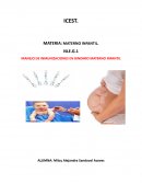INTRODUCCION A LA INMUNIZACION MATERNA NEONATAL