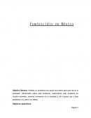 Ensayo sobre feminicidio